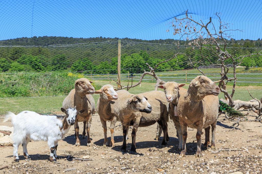 Vila Lou Mas Li Pitchoun "Le Luberon " Gordes Exteriér fotografie